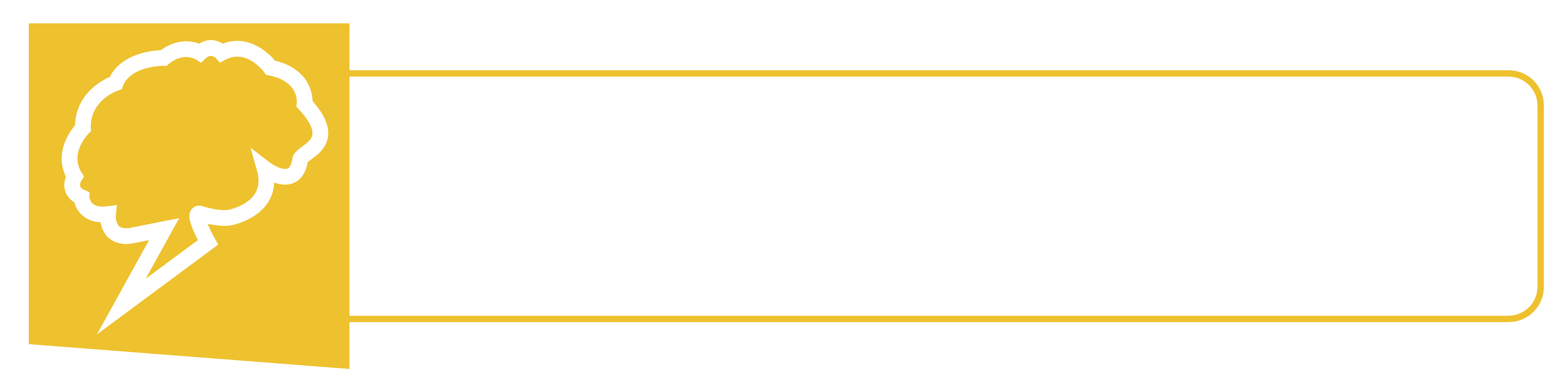 brains4brand